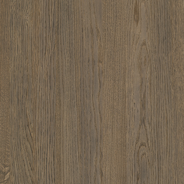 553 Dried Wild Oak